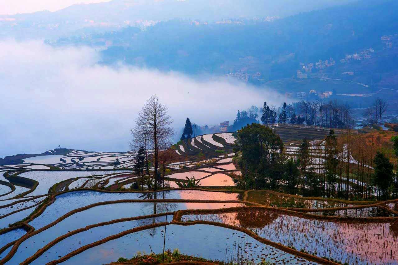 Green Hostel&Sunny Guesthouse Yuanyang  Buitenkant foto